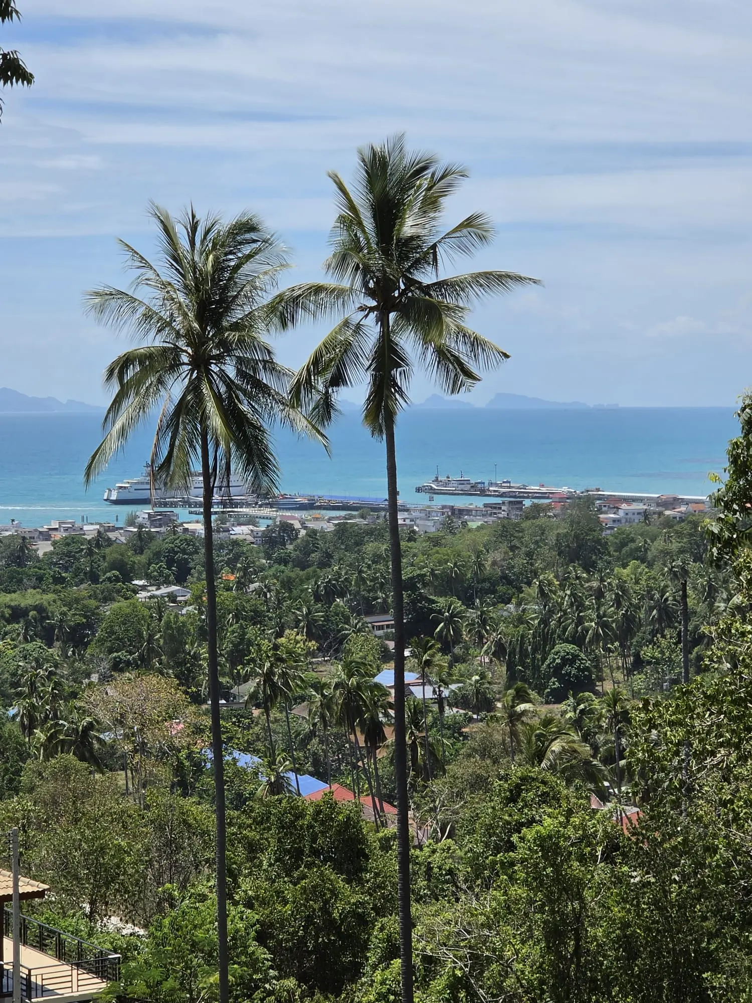 Sea-View Freehold Land for Sale in Ang Thong (Soi 2), Koh Samui