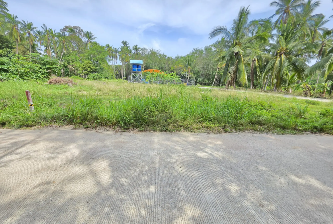 Prime 800 Sqm Land Plot for Sale in Koh Samui – Just 950m to the Beach!