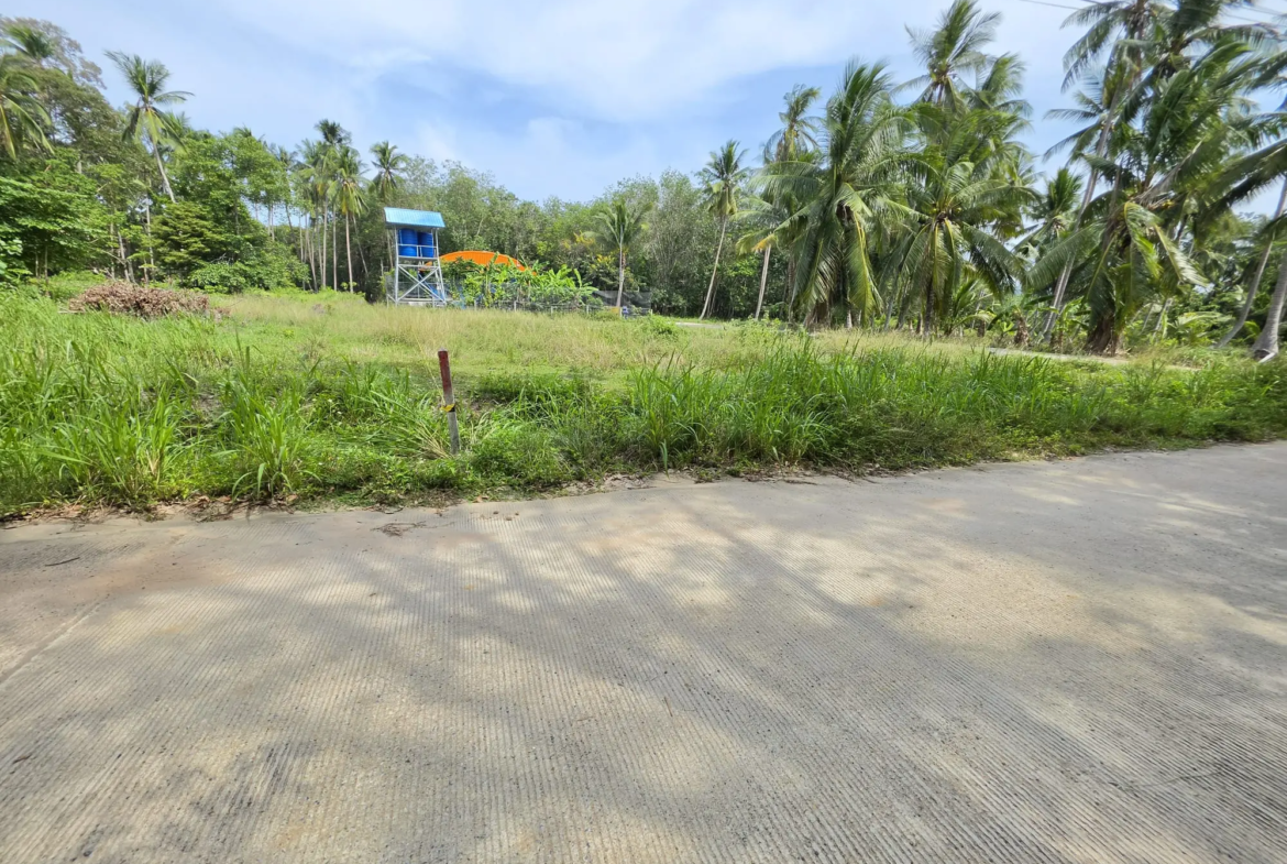 Prime 800 Sqm Land Plot for Sale in Koh Samui – Just 950m to the Beach!