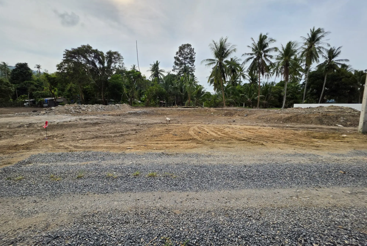 Land for Sale in Mae Nam Soi 7, Koh Samui – Prime Subdivided Plots with Red Title Deed (Chanote)