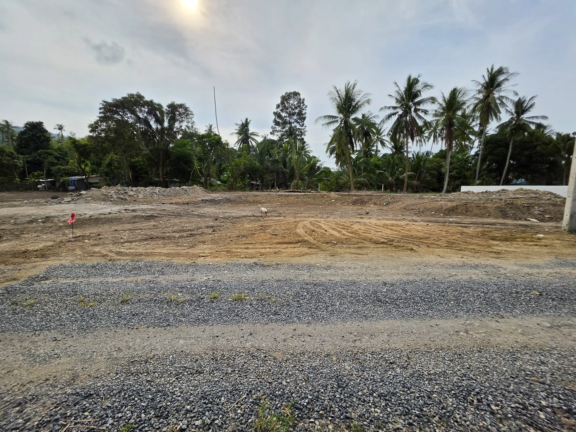 ขายที่ดินแม่น้ำซอย_7_14 Land for Sale in Mae Nam Soi 7, Koh Samui – Prime Subdivided Plots with Red Title Deed (Chanote)